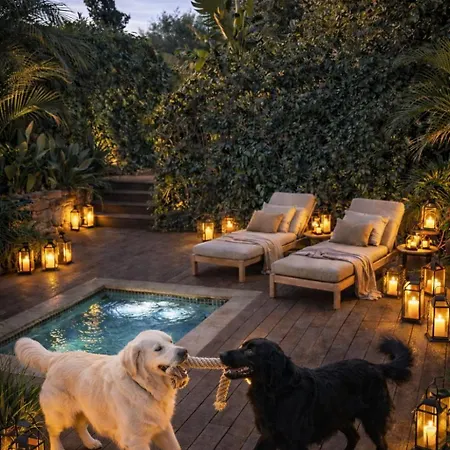 Baba Residences מלון דירות 4*