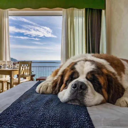 Baba Residences Ξενοδοχείο με διαμερίσματα Αλάσιο